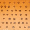 금강송에코리움(찜질방) 이미지