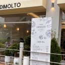 투커 | 안산 화덕피자 전문점 디몰토 안산점 :: 나폴리피자 한국챔피언십 우승자 맛집 포장 내돈내산 솔직 후기