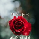 앙탈 이미지