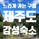 느리게 가는 구름 | [제주] 느리게 가는 구름 숙소 후기 / 제주 에어비앤비 추천 / 제주도 숙소 추천 / 제주 표선 성산 숙소
