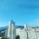 양덕동116 이미지