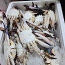 송도수산 이미지