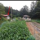 강화읍-8 이미지