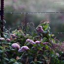 정경목장 이미지