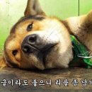 모텔허브 이미지
