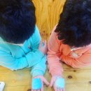 천연화장품과 아로마테라피 이미지