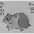 청우세무회계 이미지