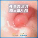 조이고양이병원x조이강아지병원