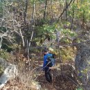 장자골 농장 이미지