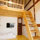 완산애견 이미지