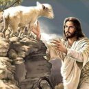 양