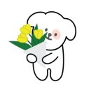 콩이랑 베리랑 이미지