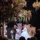 썬타운 웨딩 홀 앞 횡단보도 | 신도림 더링크호텔 웨딩 링크홀 11시 역대급 뷔페 주차 하객 후기