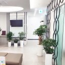 원주STM치과의원 이미지