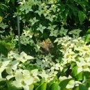 동양농장 이미지