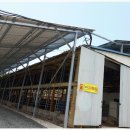 이앤에스 태양광발전소 이미지