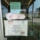 포레포레 | 파주 애견카페 몽슈포레 방문 후기