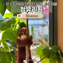 두레농약사 | 논산 청유리원 카페 | 온실, 다육이, 선인장 감성 가득한 논산 카페 추천