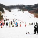 양지의류 이미지