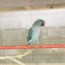 가든조류원 이미지