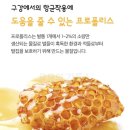 함소아 | 함소아 프로폴리스 후기｜호주산 프로폴리스로 아이 구강 건강 관리 필수템