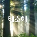 태초에 Daum카페