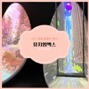 속초 여행, 실내 데이트 추천 속초 가볼만한곳 &#39;뮤지엄엑스&#39; 내돈내산 솔직 후기 🌟✨🎫