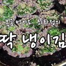 뚝딱김밥 이미지