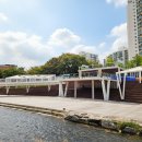 달빛마루 | 서울 신상 핫플! 노원구 당현천 &#39;당현마루&#39; 개장 | 달빛브릿지 야경, 라면존 후기