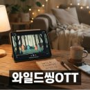 거례리 | 6월 강원도 여행 코스 및 숨은 명소 핵심 정리