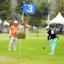 파크골프 이미지