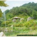 남근농장 이미지