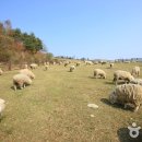 에코목장 이미지