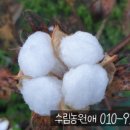 (주)농업회사법인 수림농원애 네이버블로그