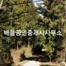 장성공인중개사사무소 이미지