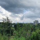금예촌