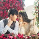 메이네스튜디오