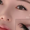 바이솔