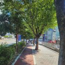 회복지압원 이미지