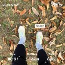 아들은 엄마의 나이를 모른다 | 역시 새해 소원은 건강(+ 약간의 쇼핑후기)