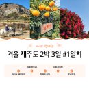 성화슈퍼 | 대한항공 KE1043 김포-제주 B737-900 이용 후기 마일리지로 제주도 가는 사람? 나야 나!!