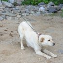 또바기콘도 이미지