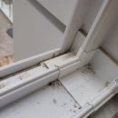 덕은크리닝 이미지