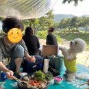 동가리헤어 | 광주 근교 화순 동가리 계곡 평상 대여 애견동반 후기