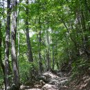 신원사 버스정류장 이미지