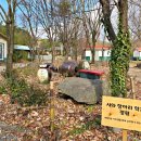 나무와중학교 이미지