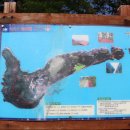 하화도 꽃섬길 민박 이미지