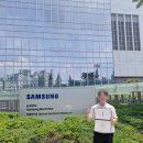 삼성전자(주) | 2025년 상반기 삼성전자 DS 장기현장실습 합격 후기, 면접