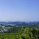 달마