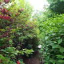 두정도서관 이미지